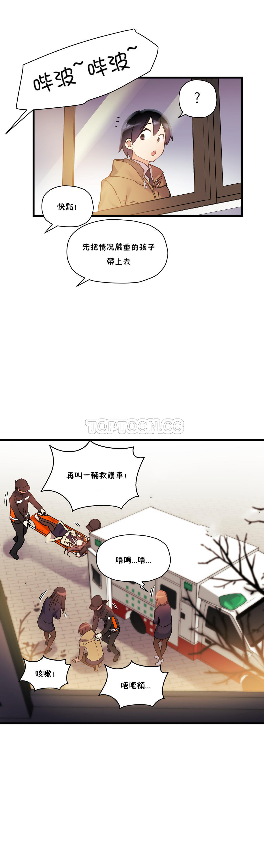 初恋豚鼠
