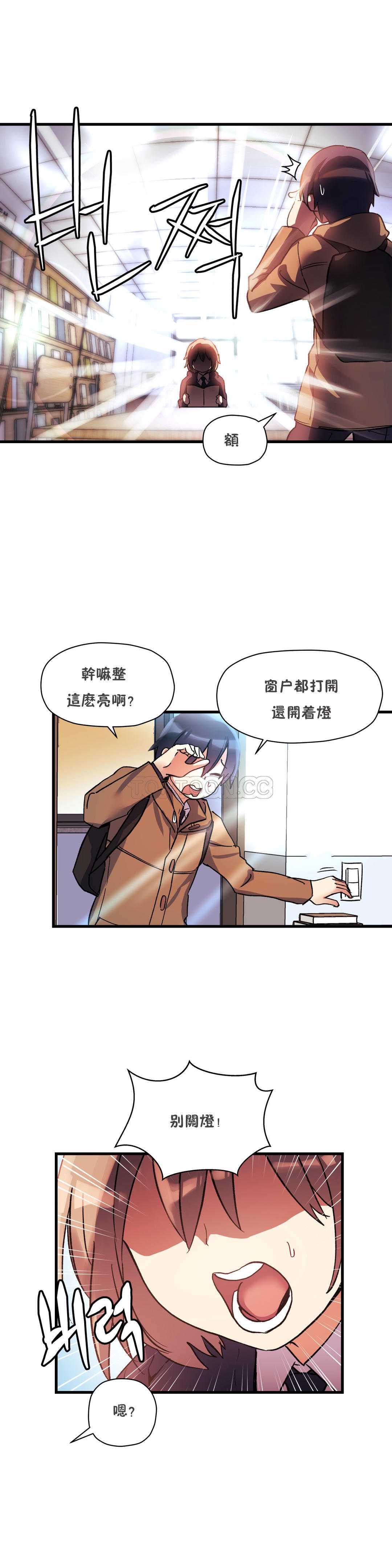 初恋豚鼠