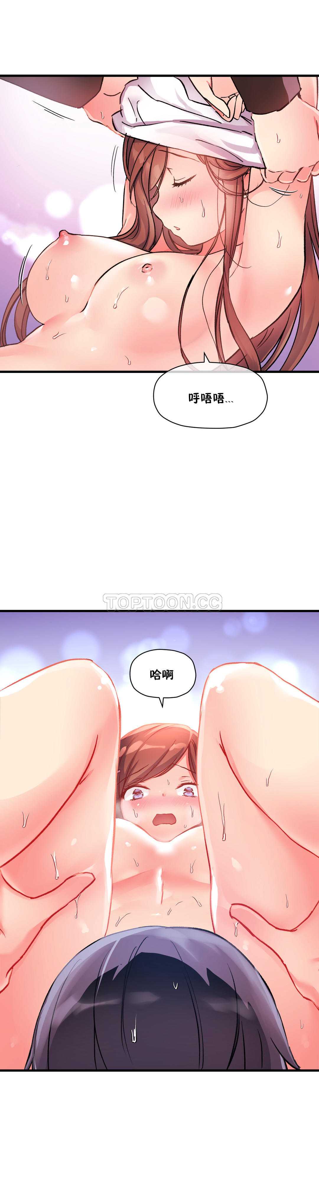 初恋豚鼠