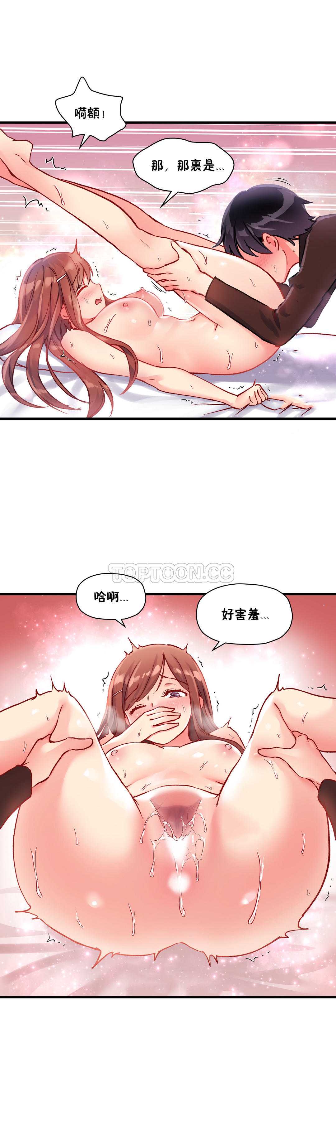 初恋豚鼠