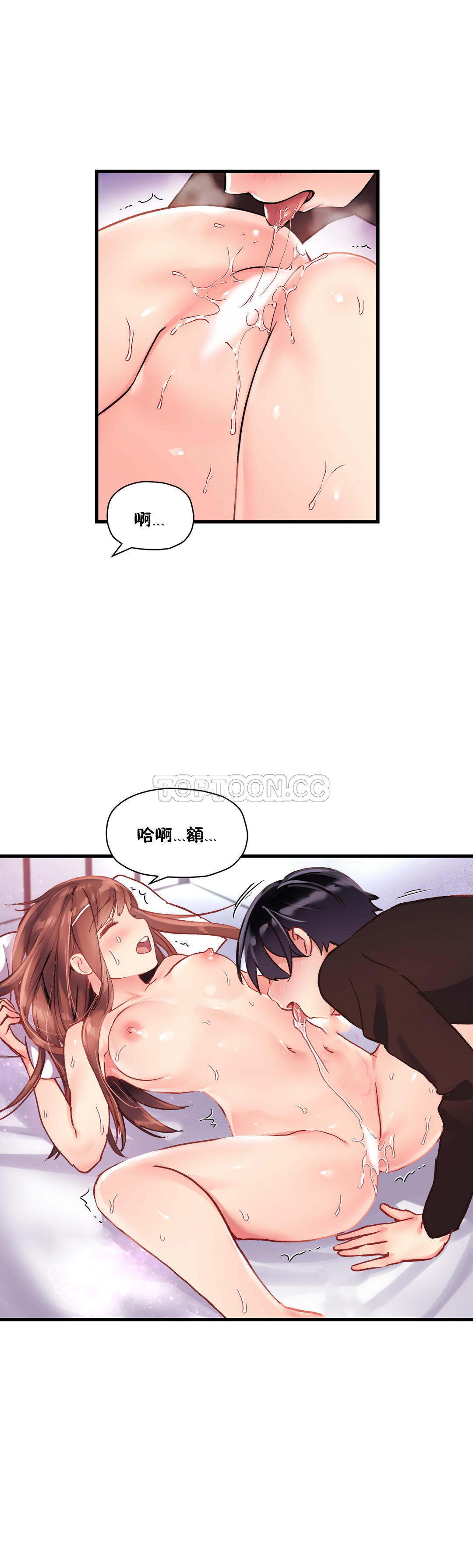 初恋豚鼠
