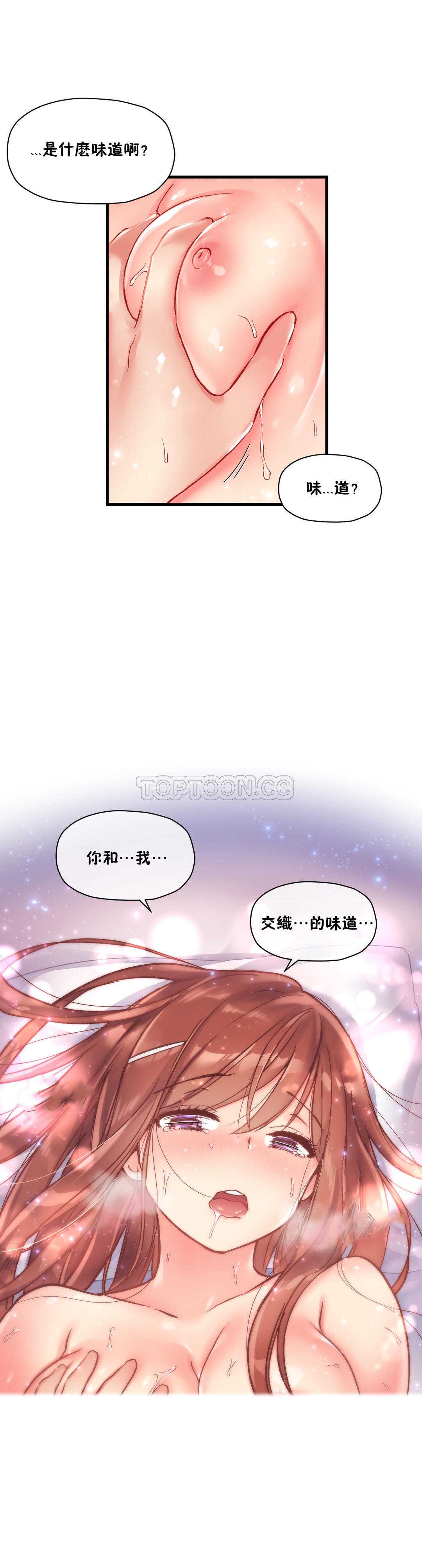初恋豚鼠