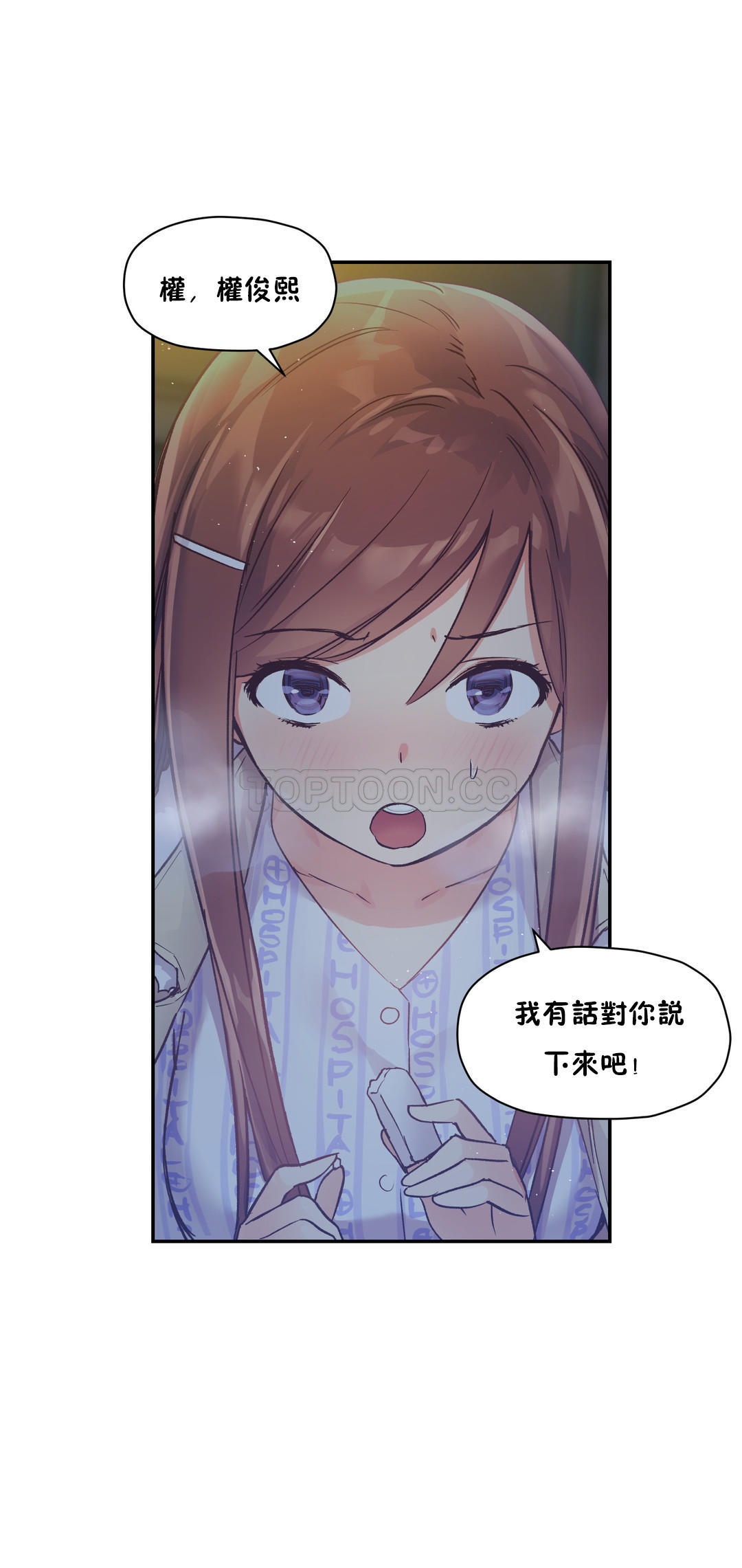 初恋豚鼠