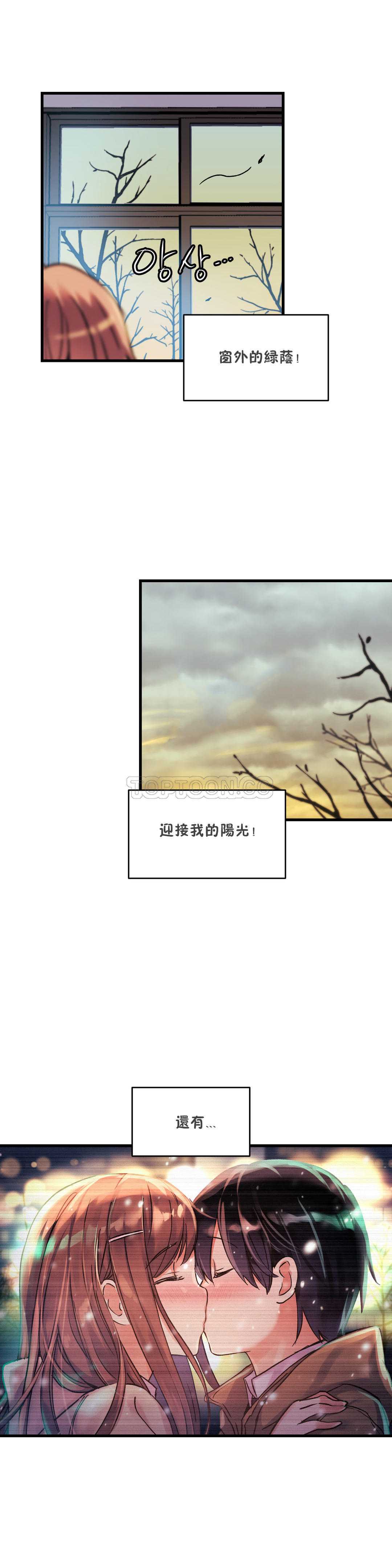 初恋豚鼠