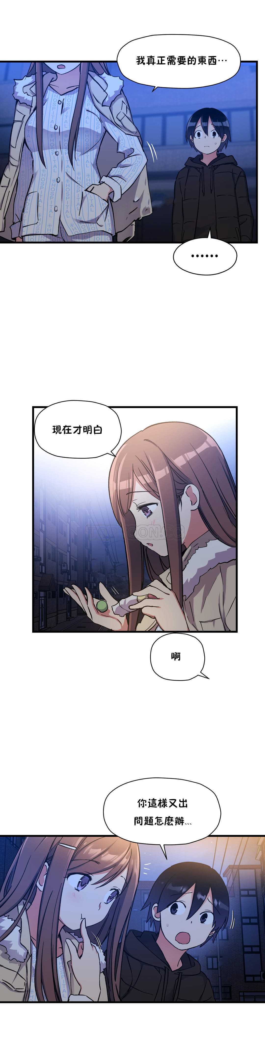 初恋豚鼠