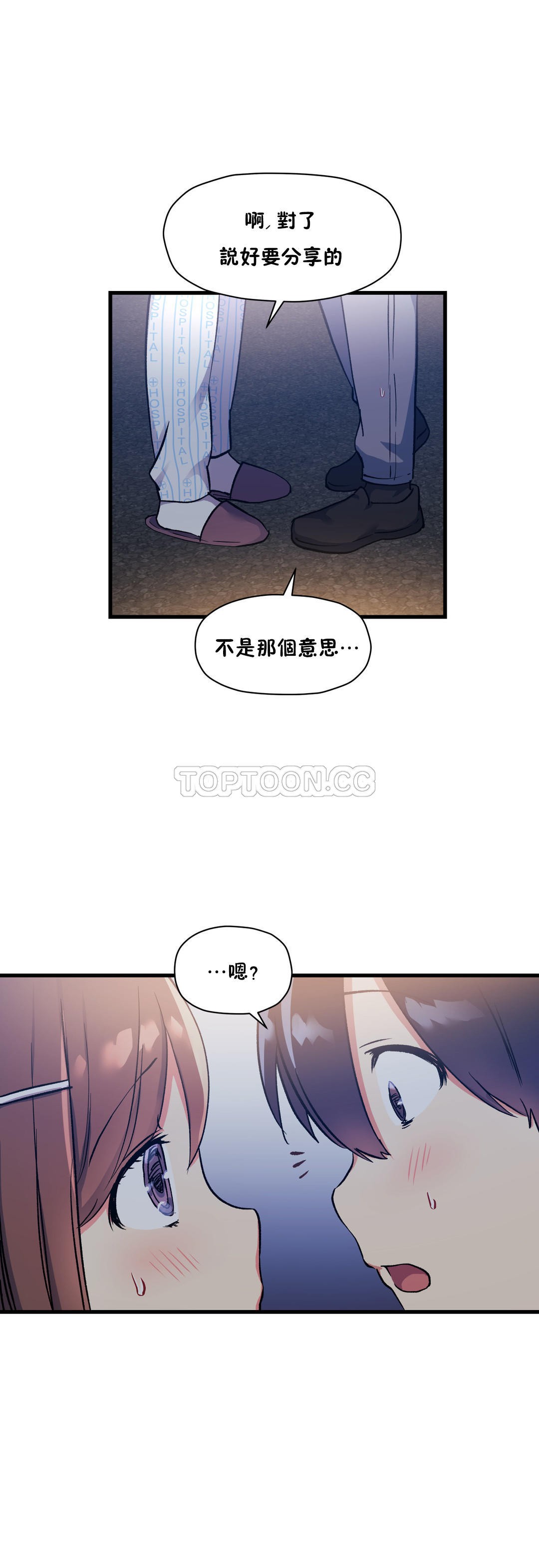 初恋豚鼠