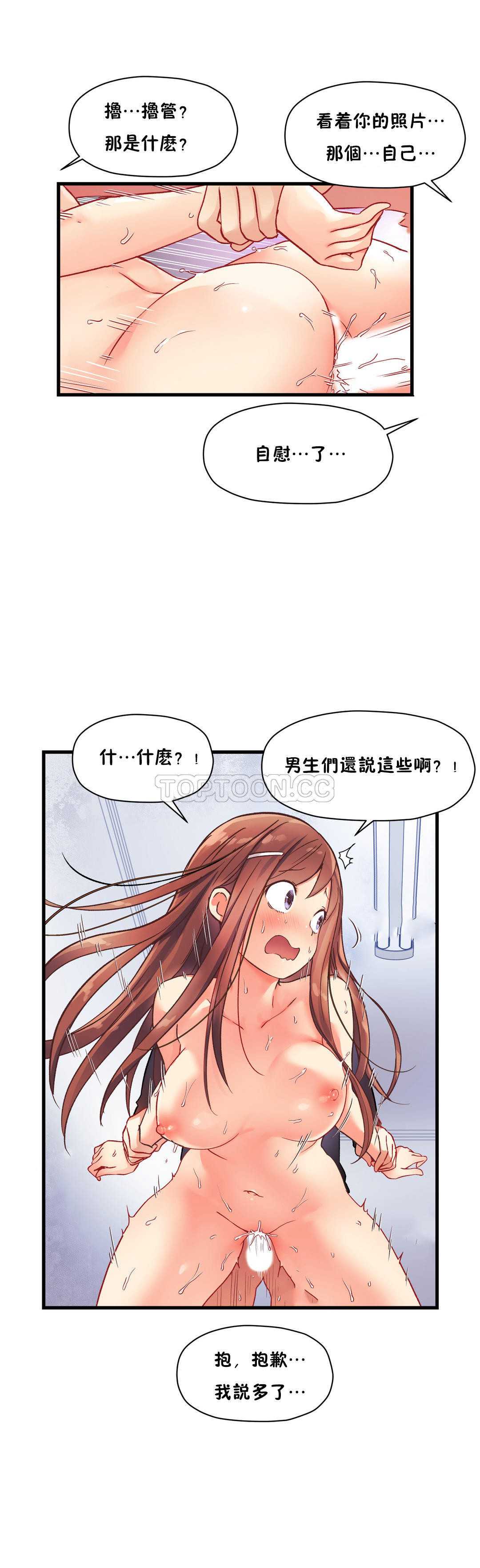 初恋豚鼠