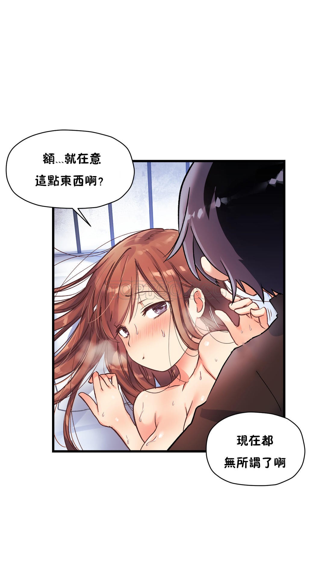 初恋豚鼠