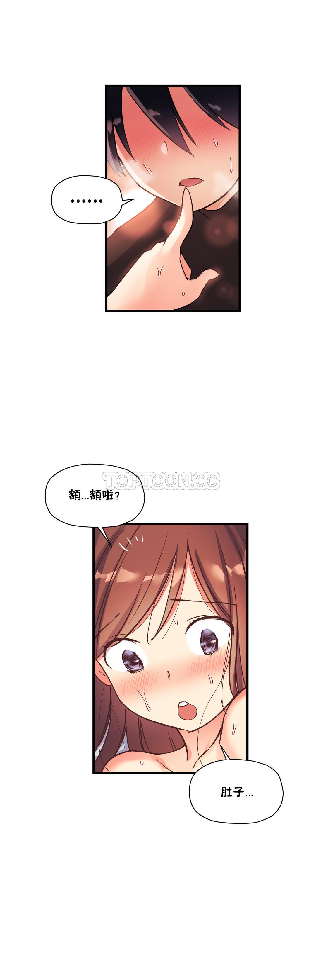 初恋豚鼠