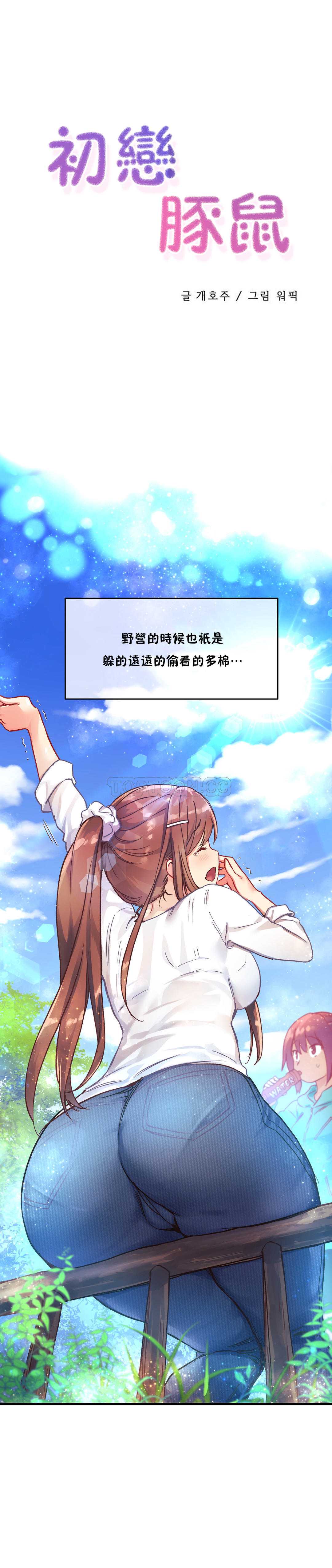 初恋豚鼠