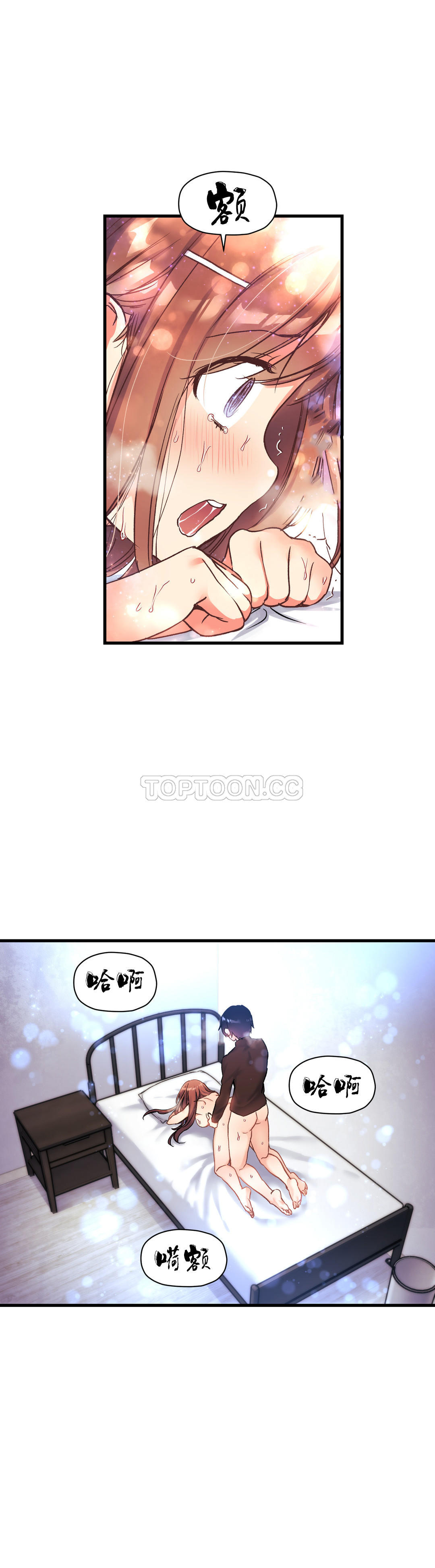 初恋豚鼠