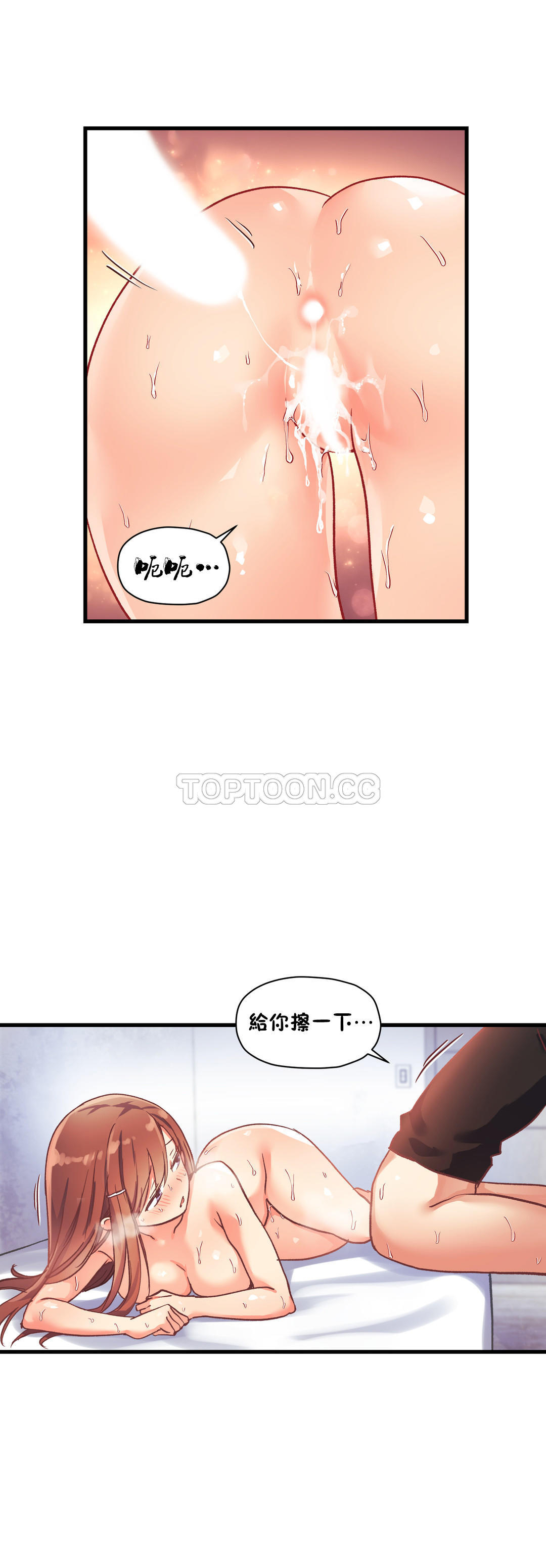 初恋豚鼠