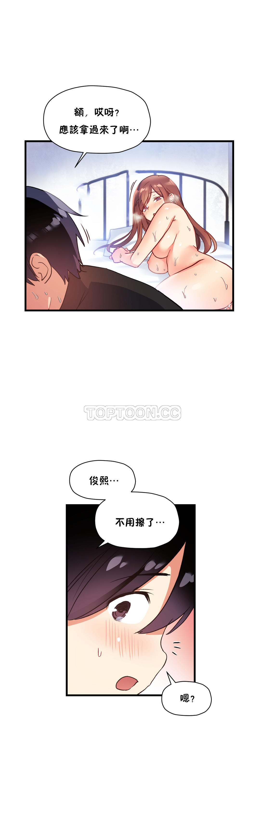 初恋豚鼠