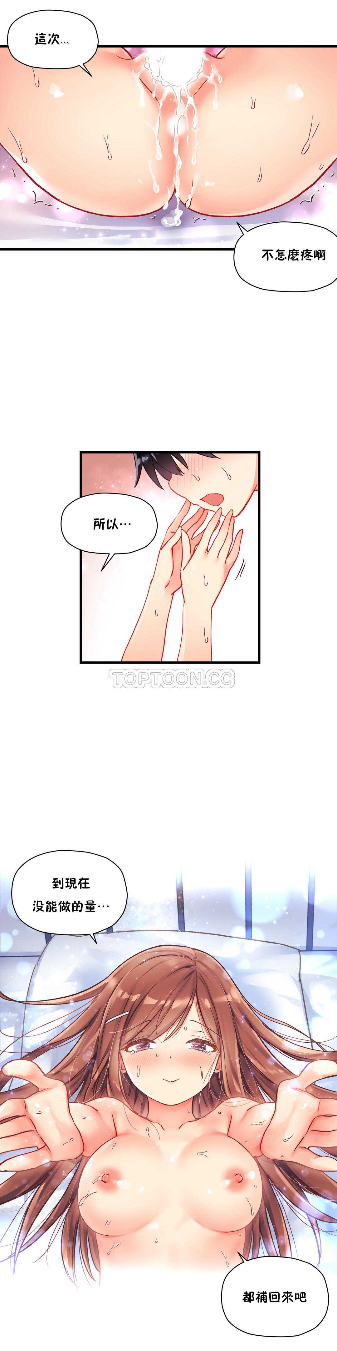 初恋豚鼠