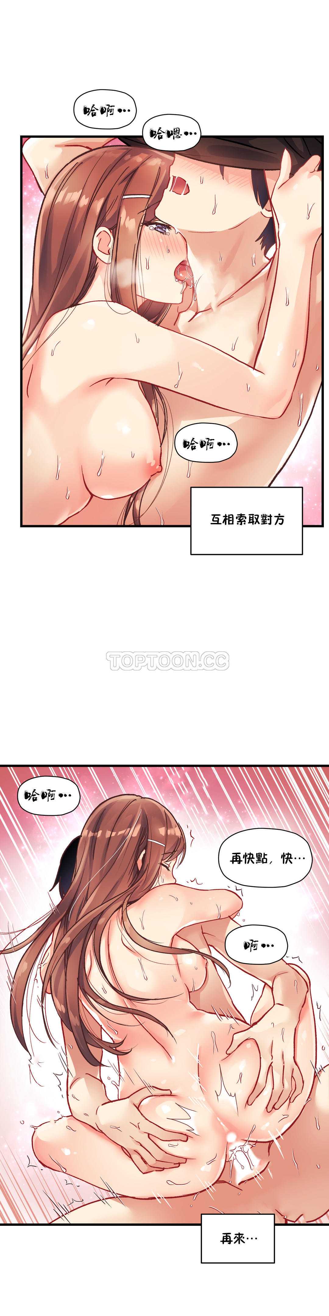 初恋豚鼠