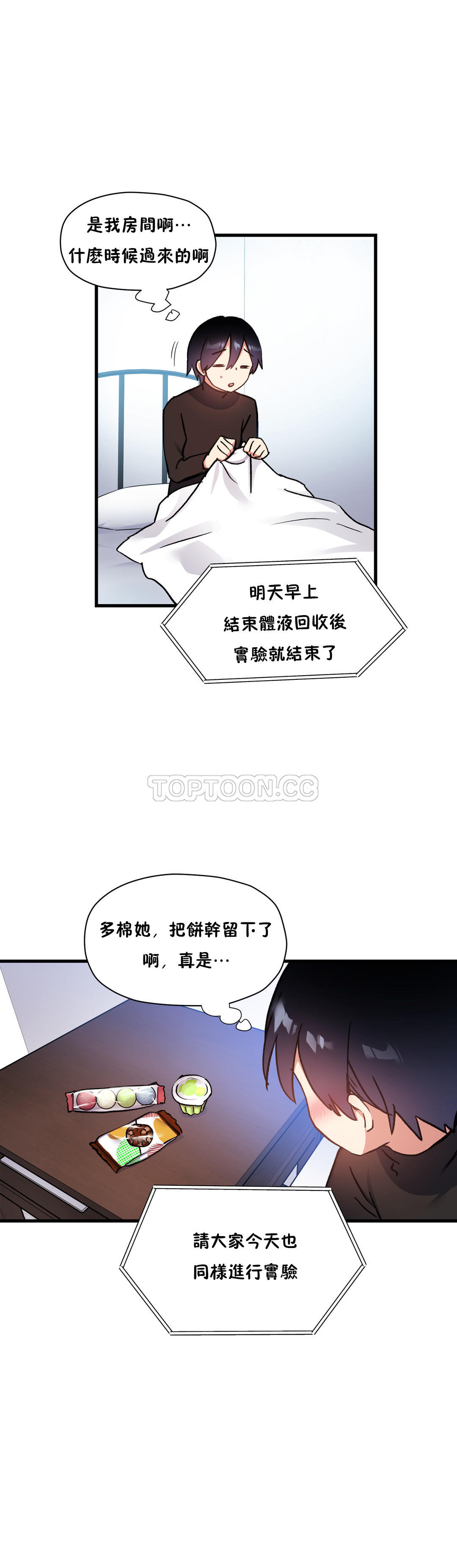 初恋豚鼠