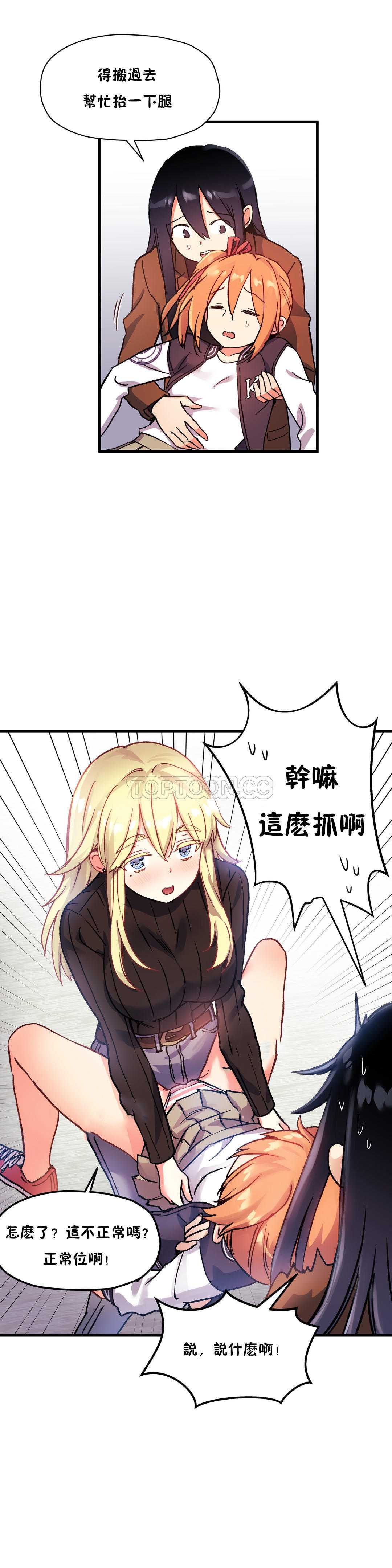 初恋豚鼠
