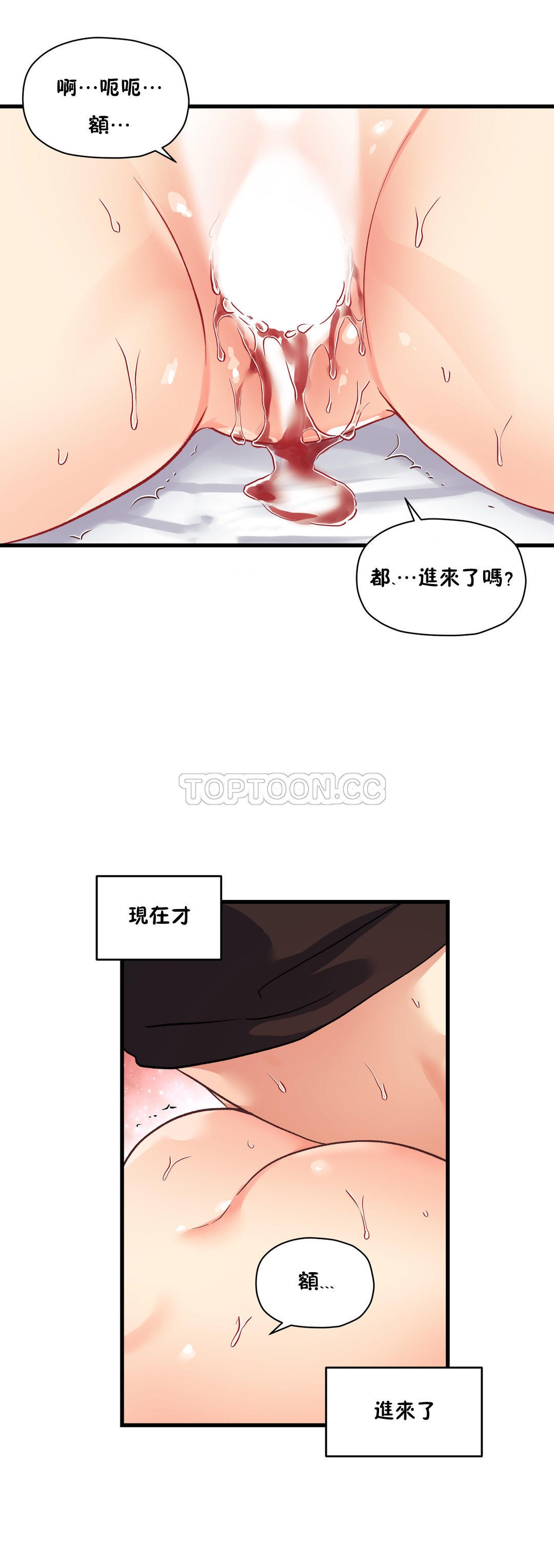 初恋豚鼠