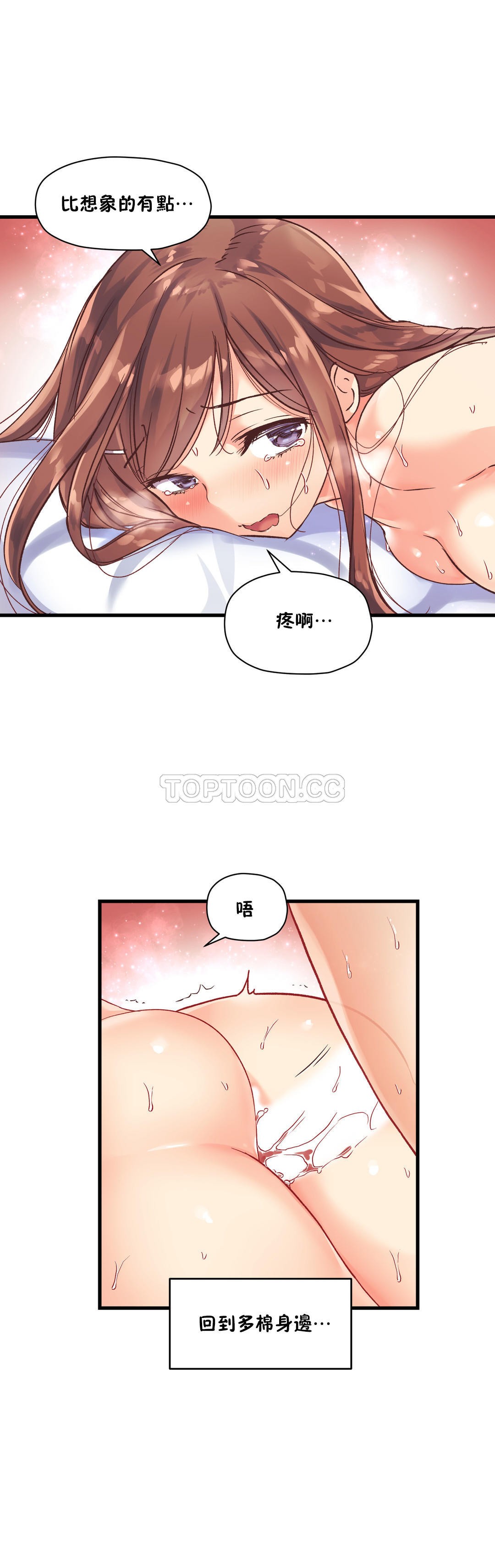 初恋豚鼠