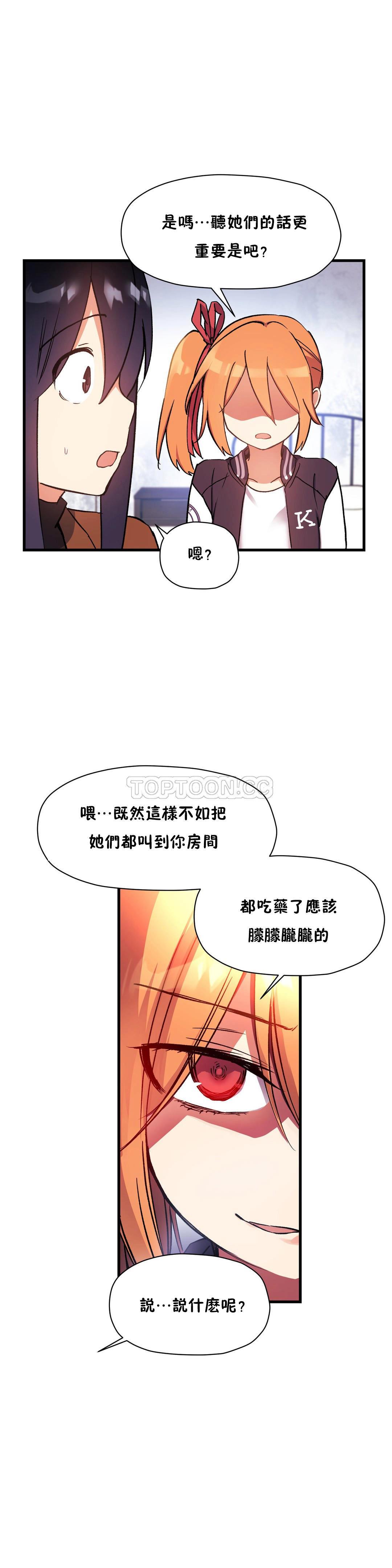 初恋豚鼠