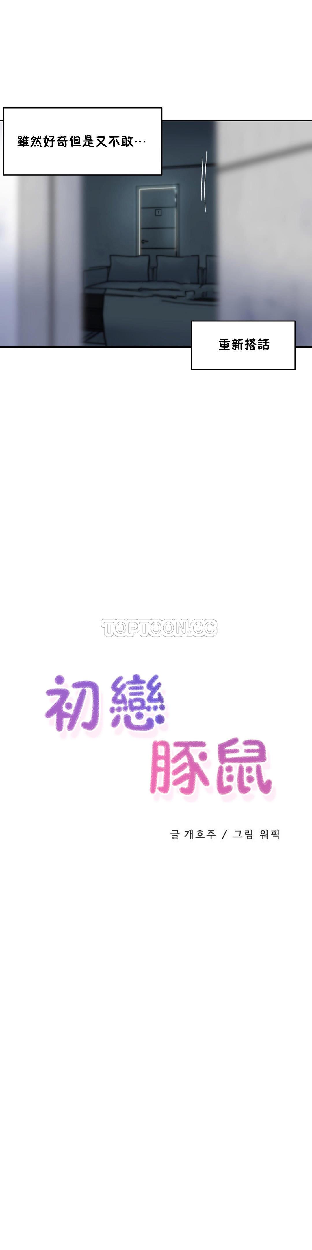 初恋豚鼠