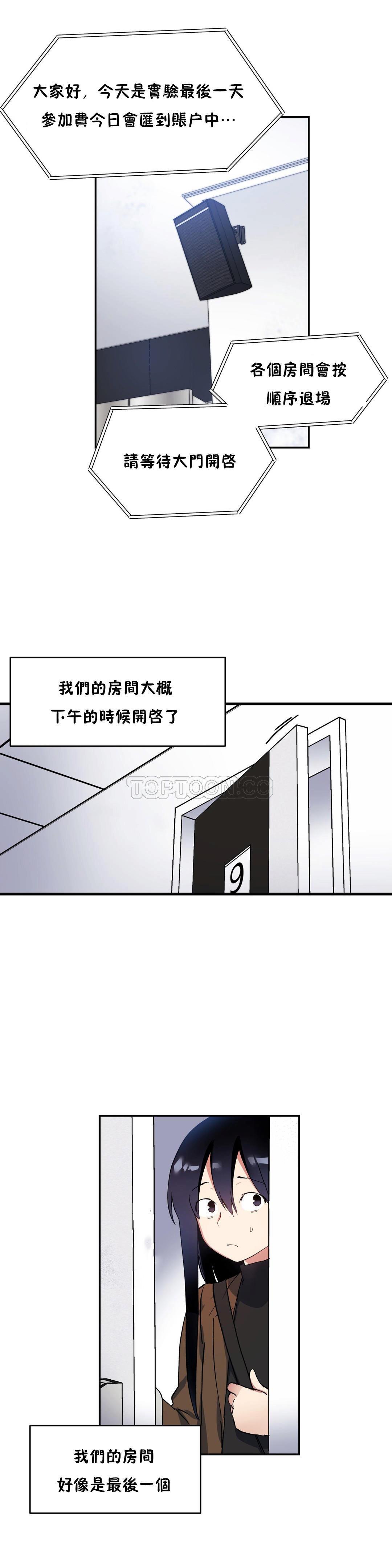 初恋豚鼠