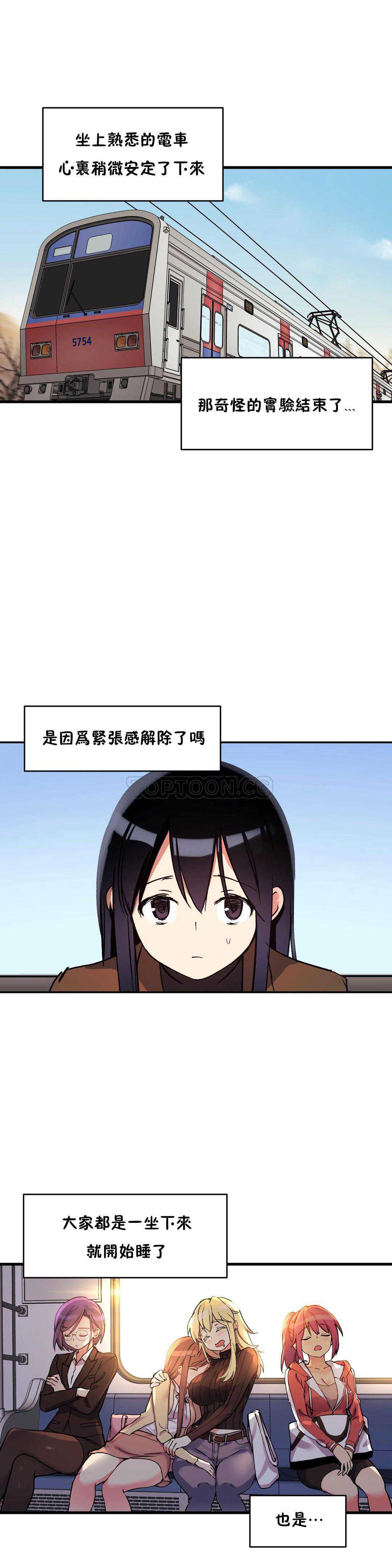 初恋豚鼠