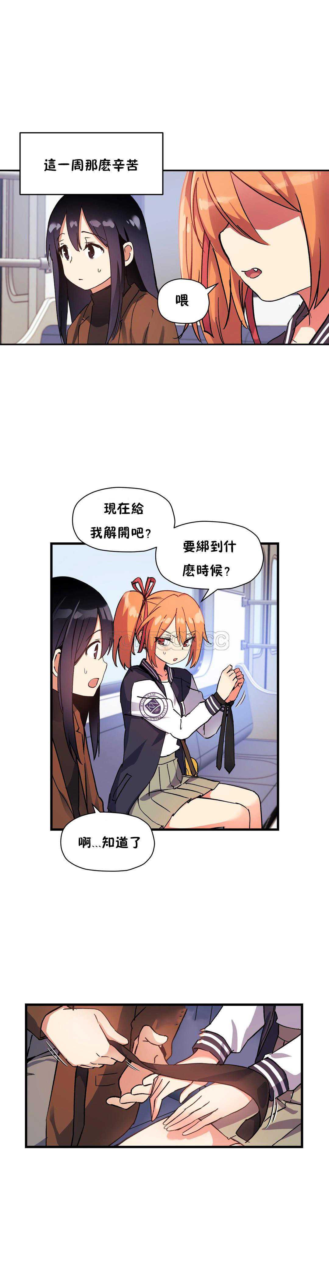 初恋豚鼠