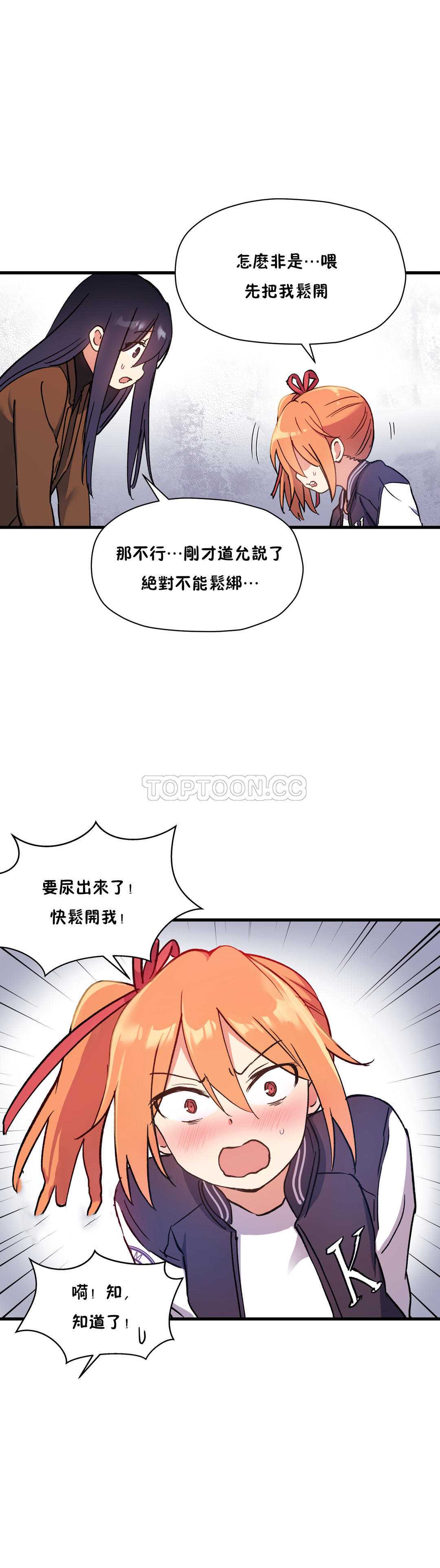 初恋豚鼠