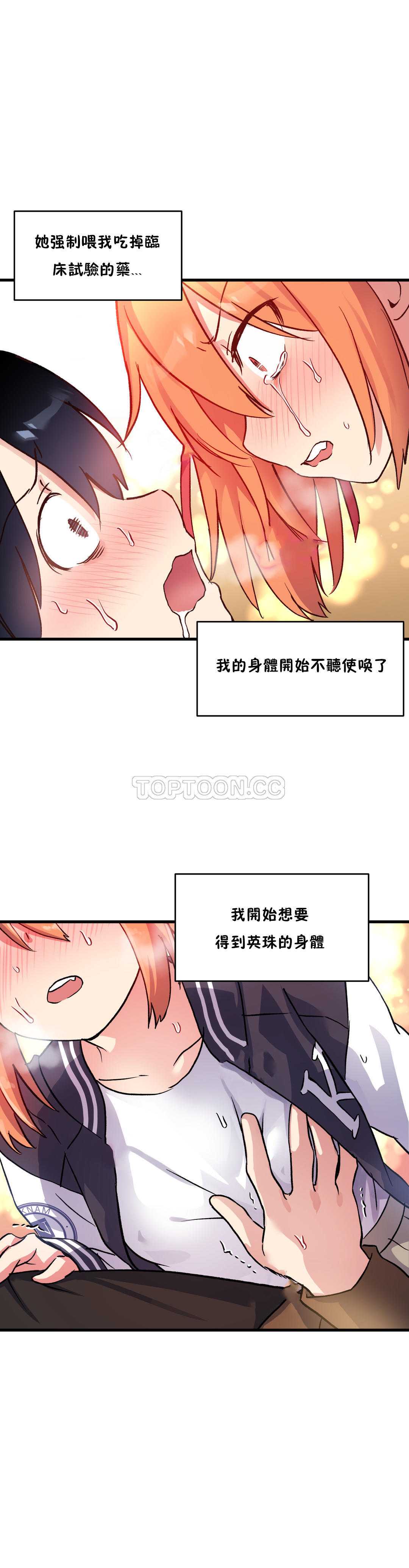 初恋豚鼠