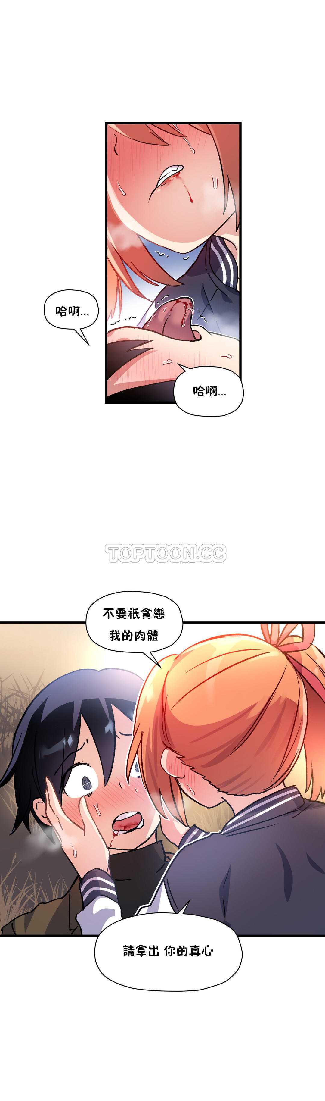 初恋豚鼠