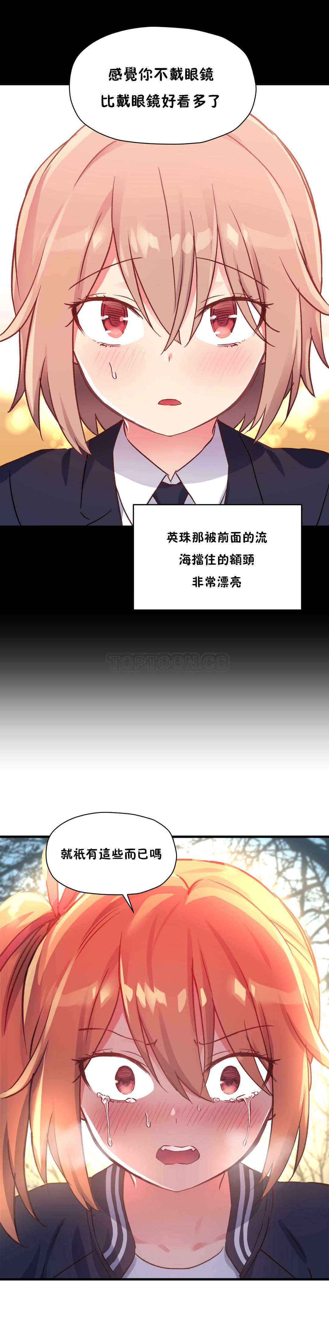 初恋豚鼠