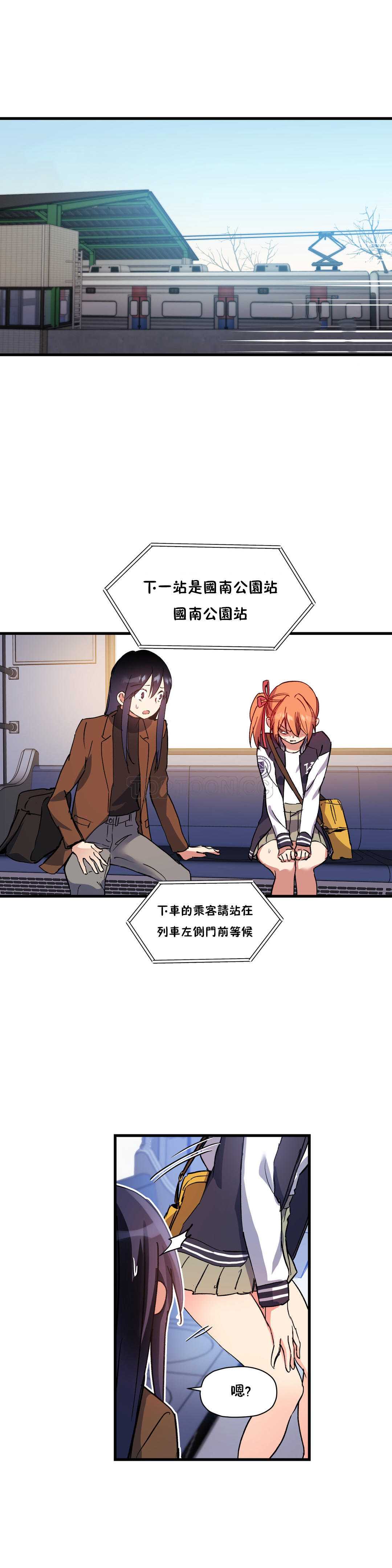 初恋豚鼠