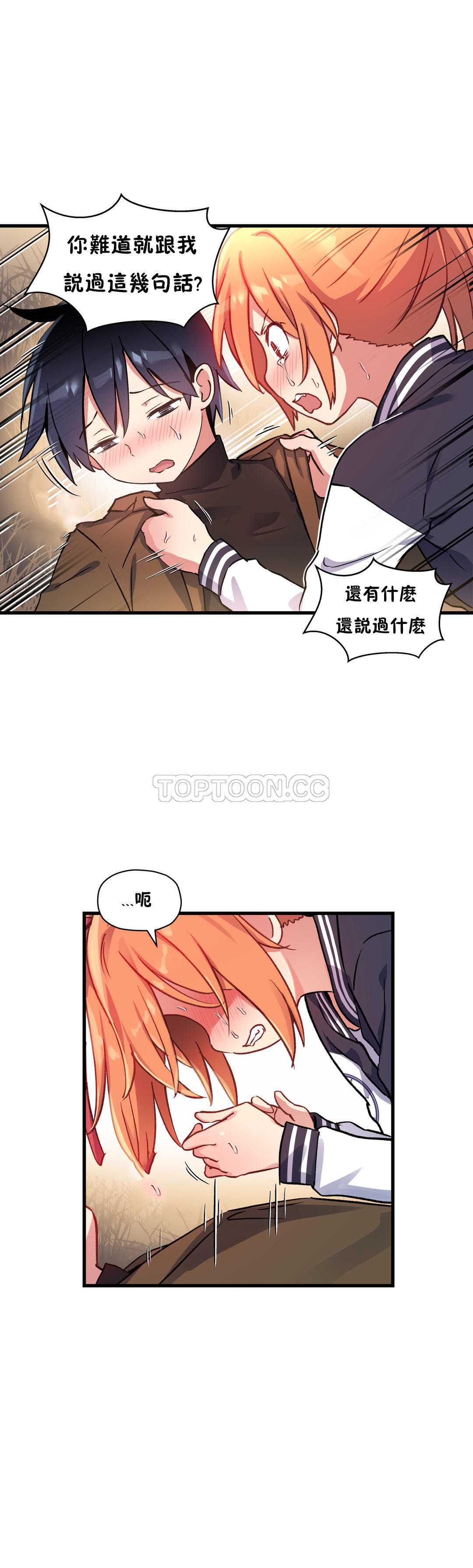 初恋豚鼠
