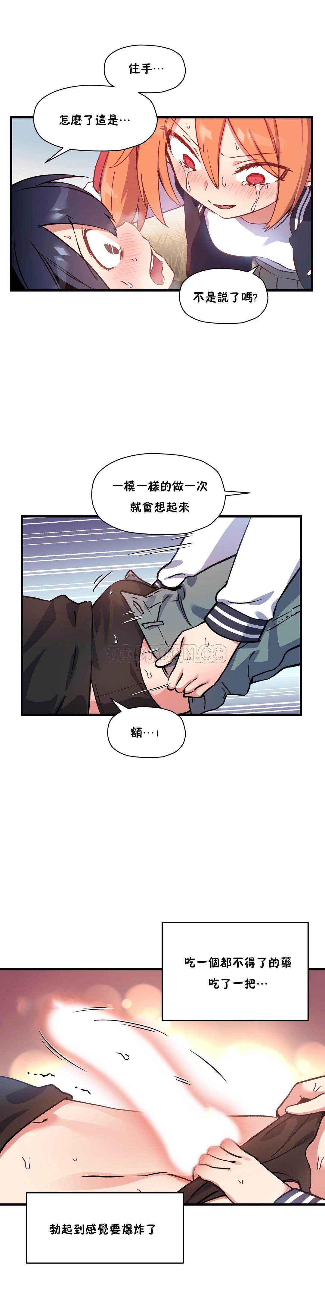 初恋豚鼠