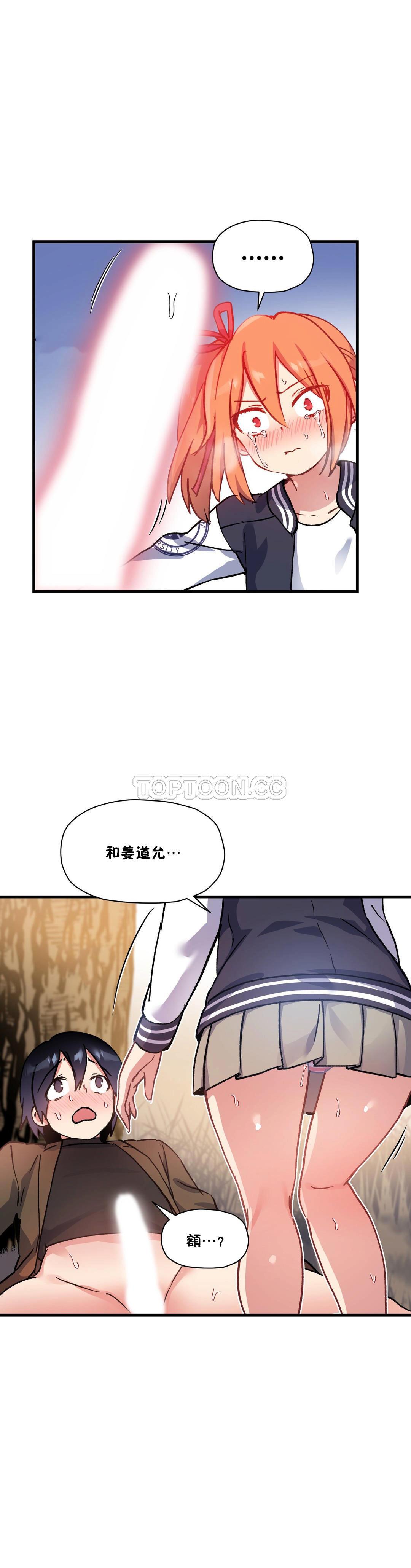 初恋豚鼠