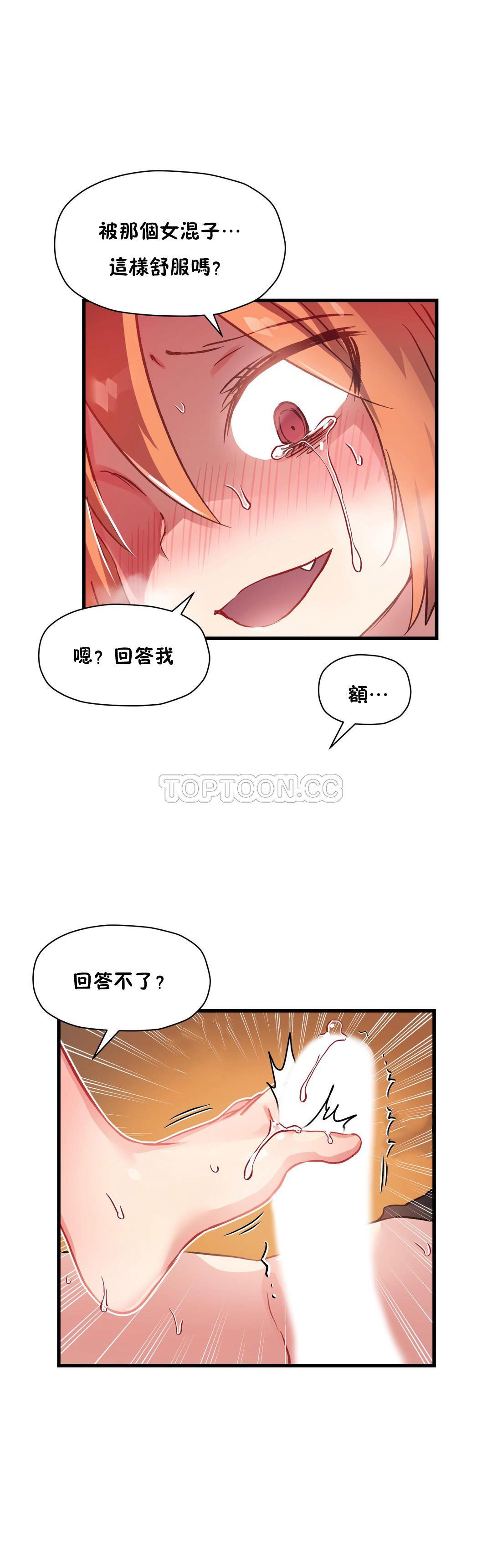 初恋豚鼠