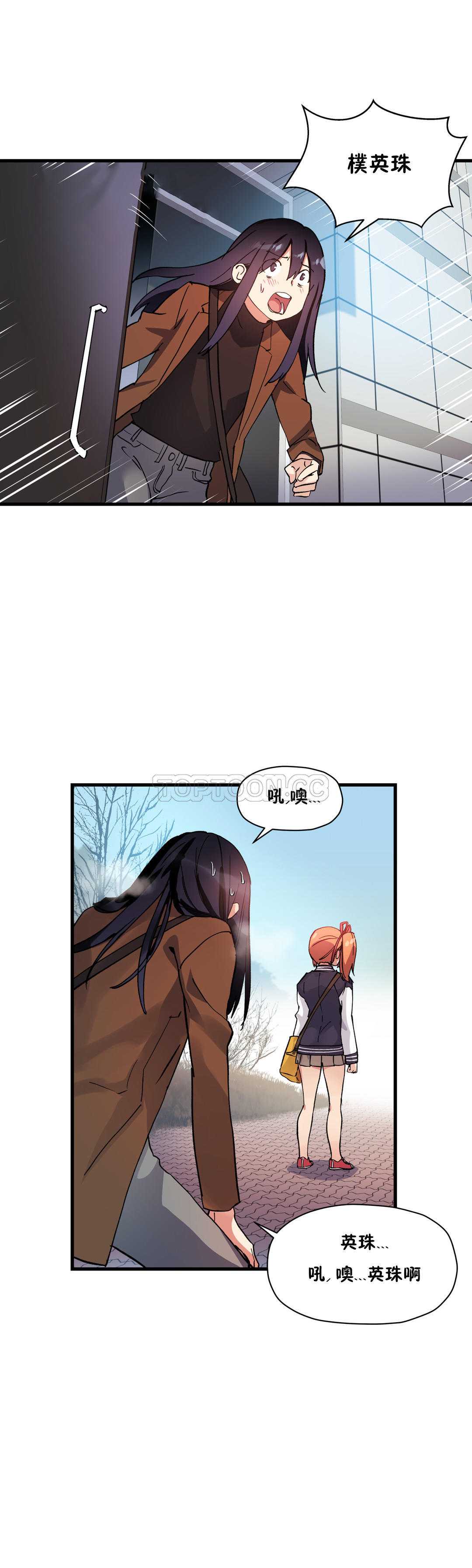 初恋豚鼠