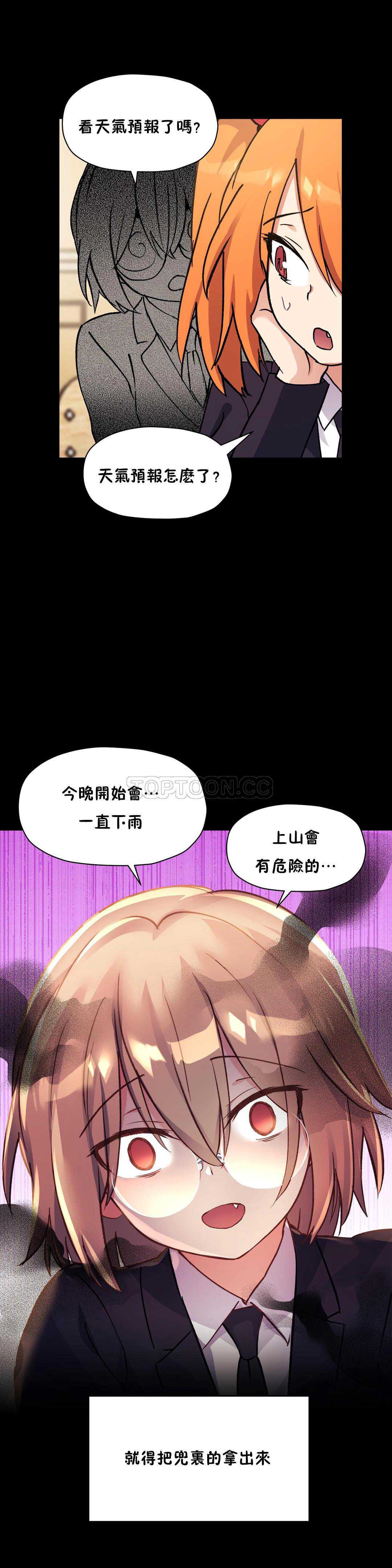 初恋豚鼠