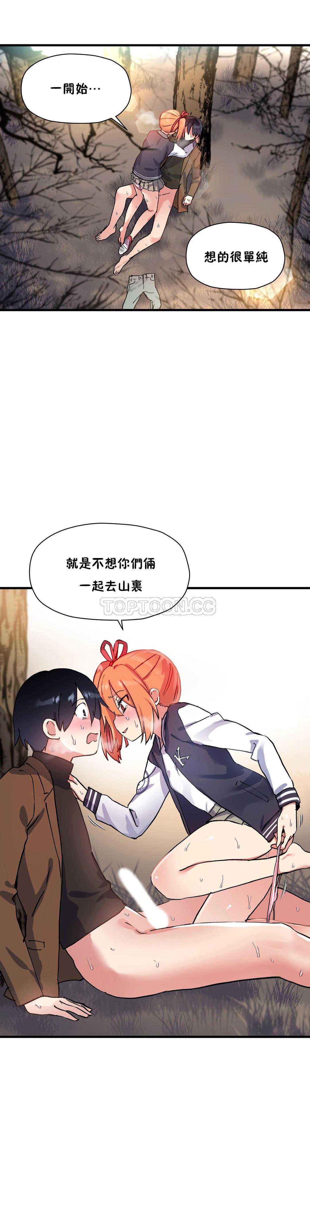 初恋豚鼠