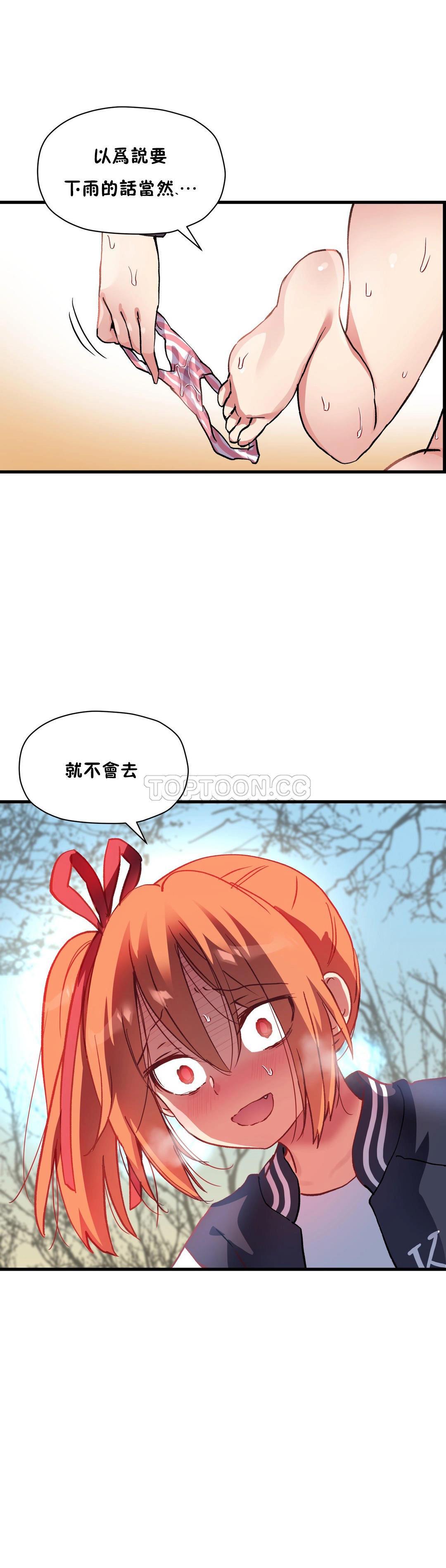 初恋豚鼠