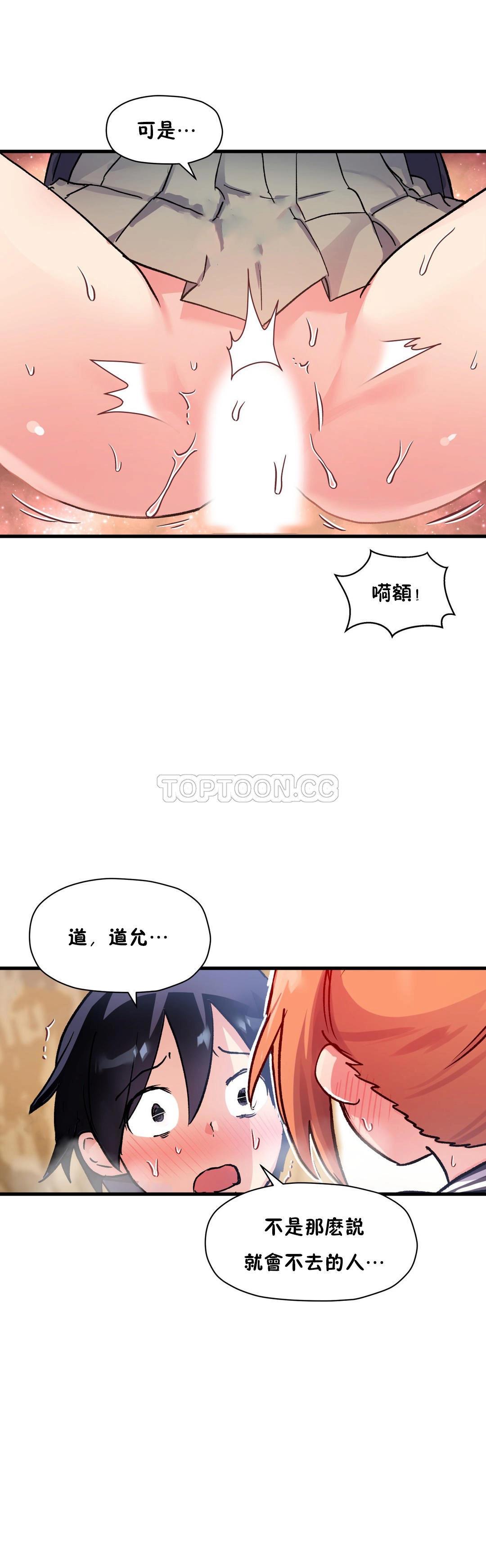 初恋豚鼠