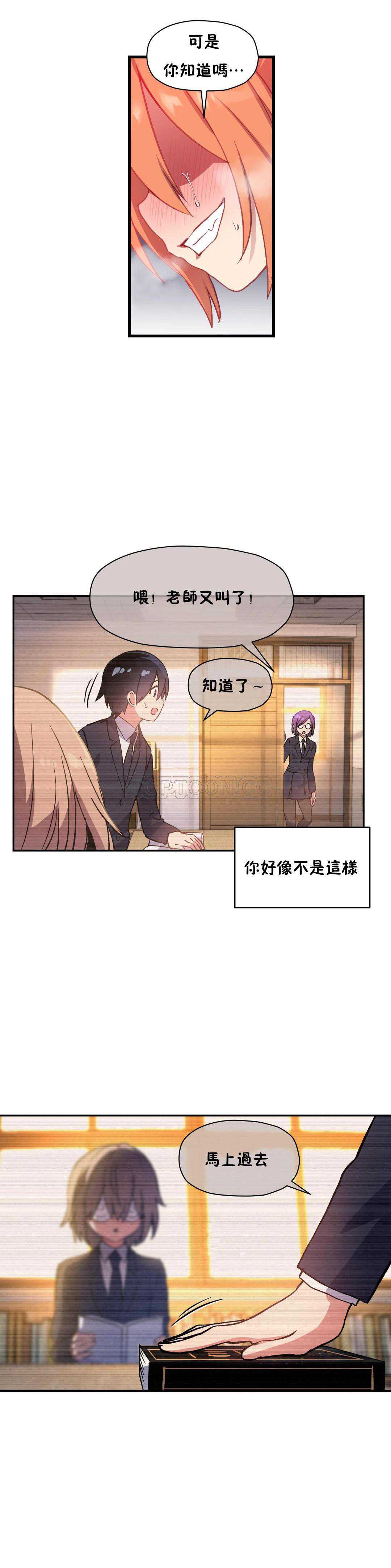 初恋豚鼠