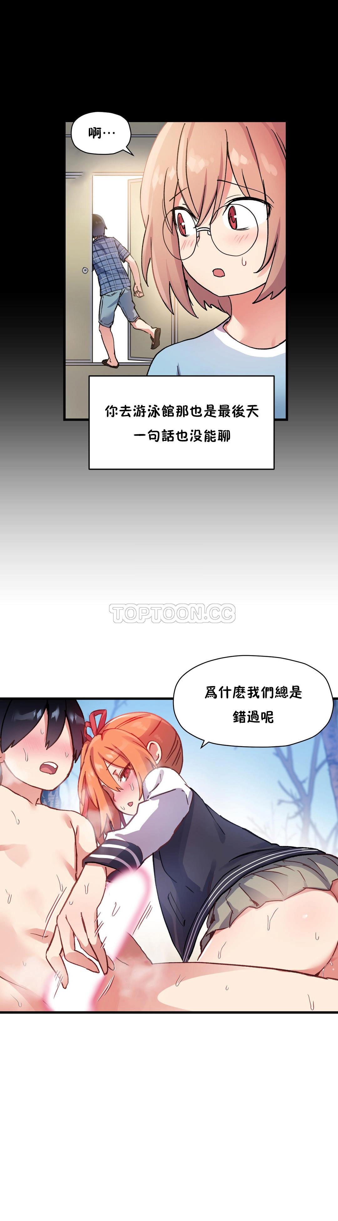 初恋豚鼠