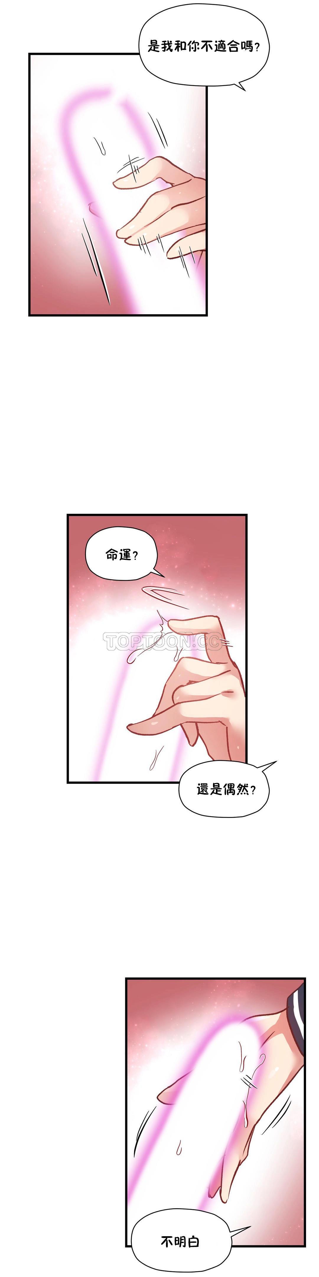初恋豚鼠