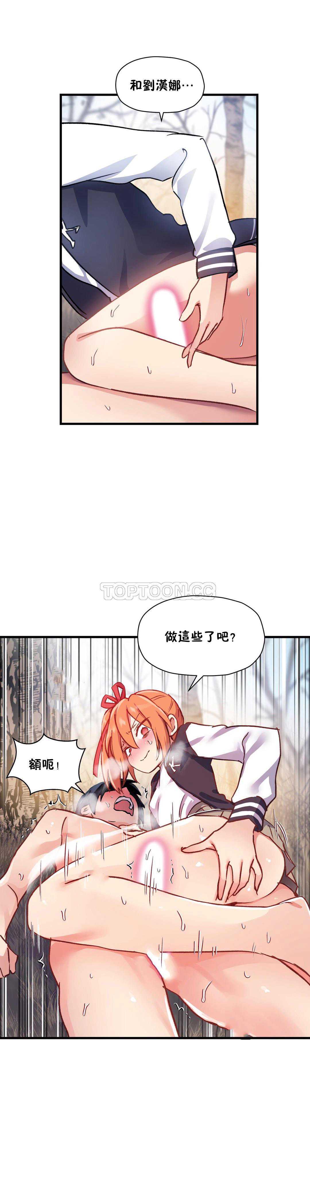 初恋豚鼠