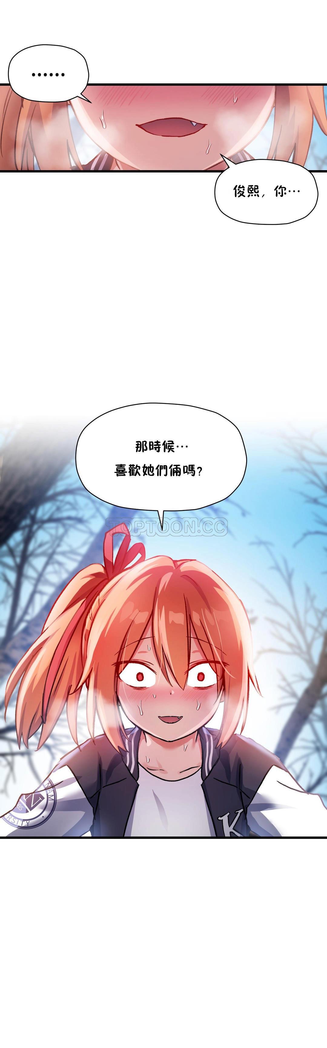 初恋豚鼠