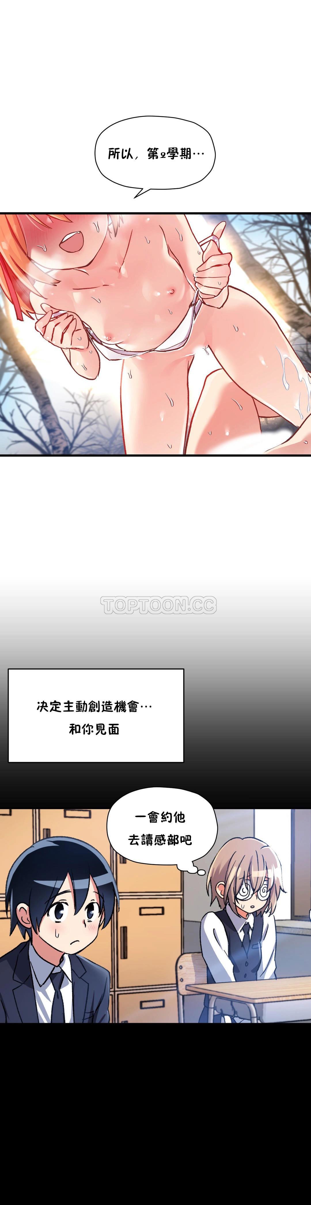 初恋豚鼠