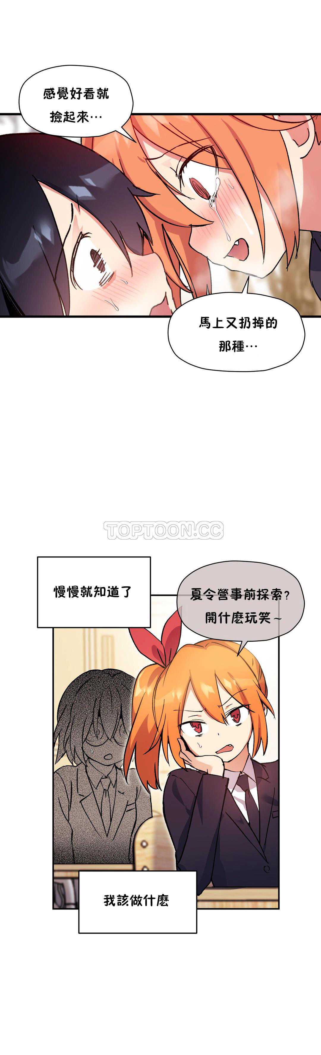 初恋豚鼠