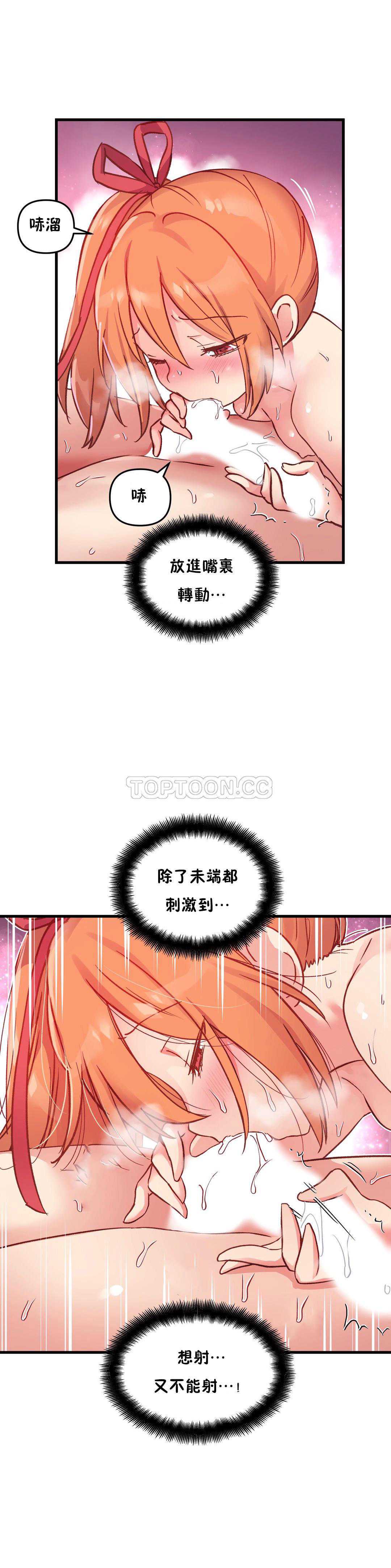 初恋豚鼠